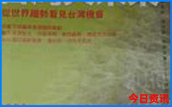 10天去哪里旅游最好